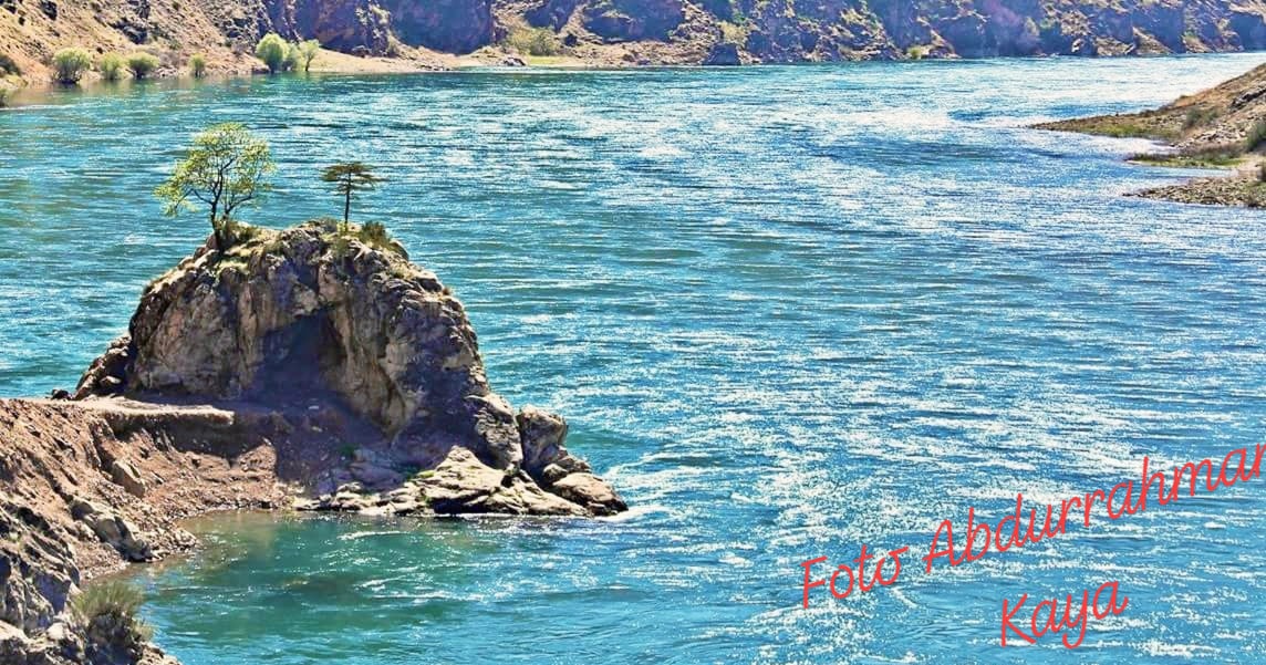 36376854_10157404181558812_6203119036801220608_o